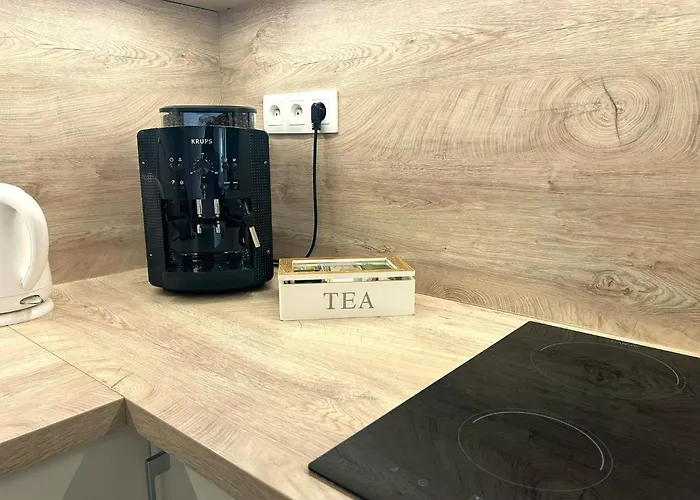 Leo Obchodna - Delux アパート *